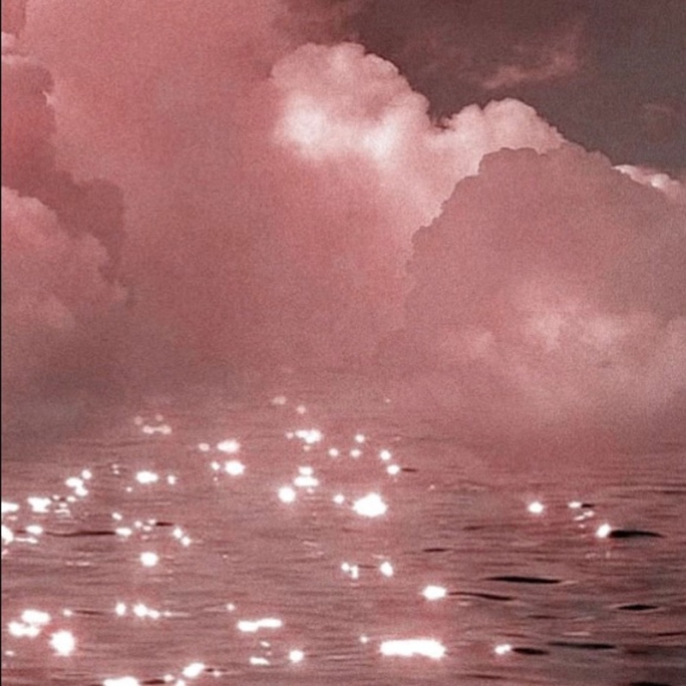 Meet your Posher, Bella